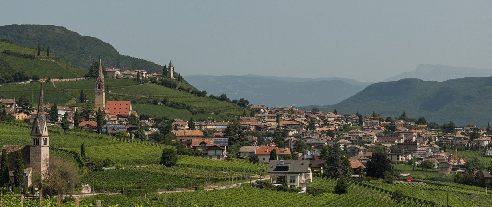 Landschaft um die Roner Distillerie